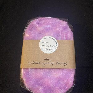 Alien Exfoliating Sponge
